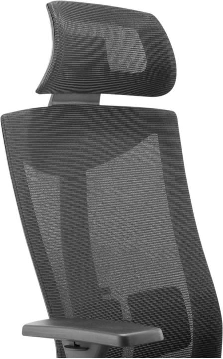 Immagine prodotto Ergo Office Sedia ergonomica Top