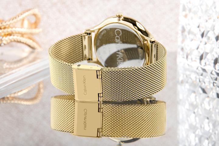 Image du produit Calvin Klein Timeless Mesh Damenuhr 25200003 + BOX (Montre analogique)