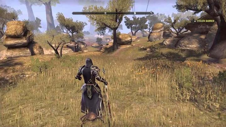 Actual product image Bethesda The Elder Scrolls Online: Morrowind PS4 (PS4)