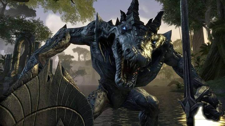 Actual product image Bethesda The Elder Scrolls Online: Morrowind PS4 (PS4)