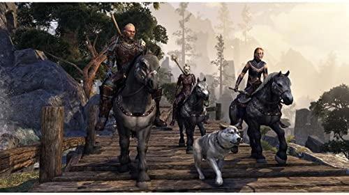 Actual product image Bethesda The Elder Scrolls Online: Morrowind PS4 (PS4)