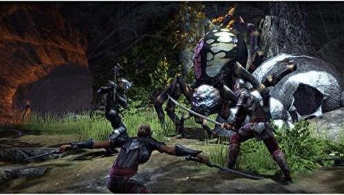 Actual product image Bethesda The Elder Scrolls Online: Morrowind PS4 (PS4)