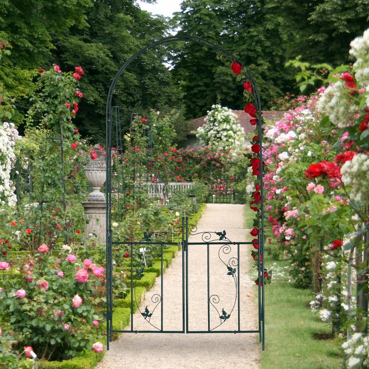 Actual product image Relaxdays Rose Arch with Gate (36.50 cm, 113.50 cm)