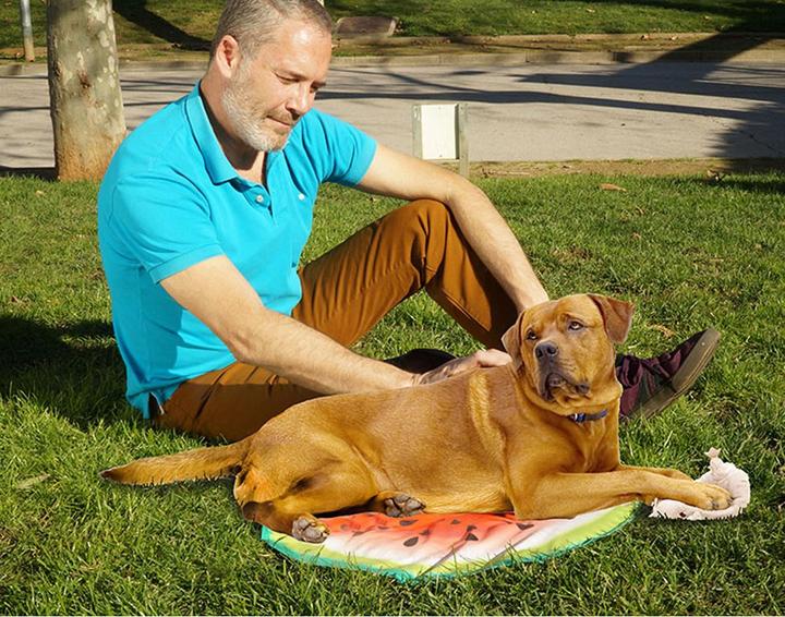 Produktbild Starlyf Pet Cooling Mat (Hund)