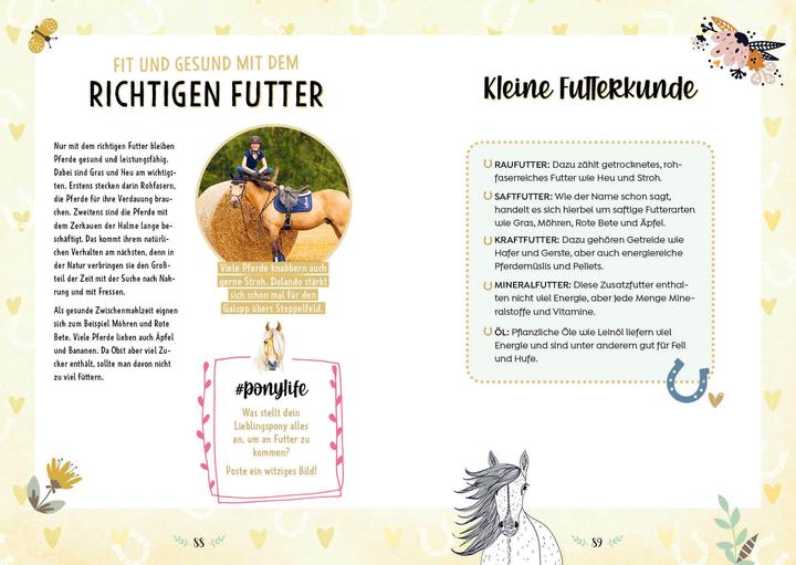 Image du produit #ponylife – Mein Pferde-Mitmach-Journal von den Social-Media-Stars Lia und Lea (Allemand, Lea Schirdewahn, Carola de Chaudière, Lia Beckmann, 2022)