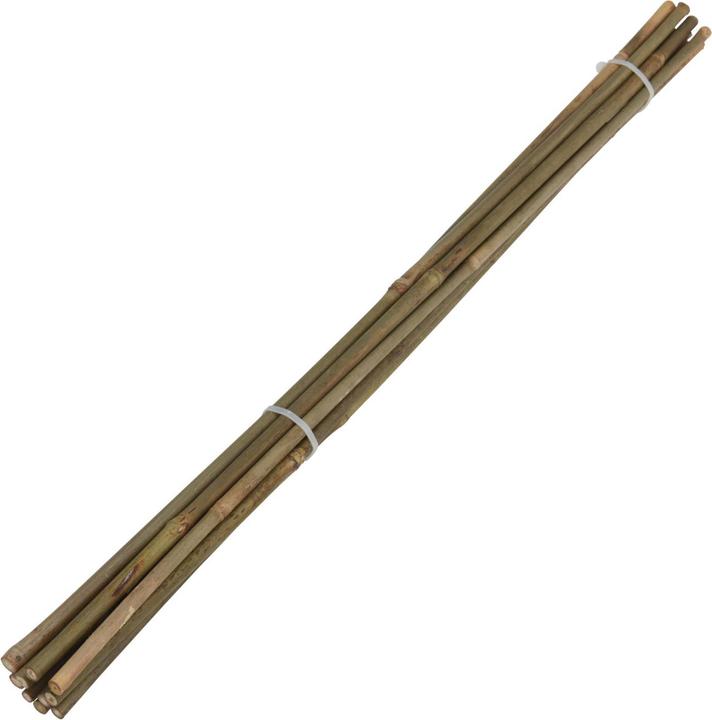 Produktbild Natura Punto Pflanzstangen Bambusstäbe (60 cm, 60 cm)