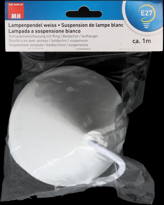 Image du produit Max Hauri Lampenpendel E27