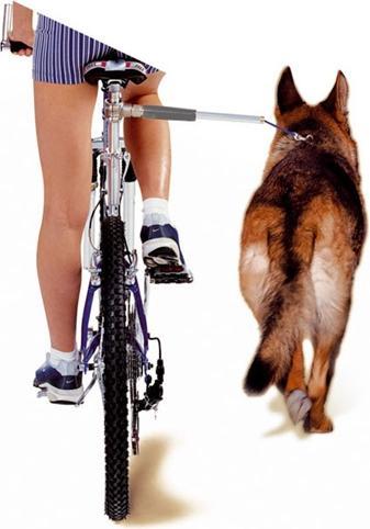 Produktbild Walky Dog Fahrrad Freilaufleine (Hund, Reflektoren)