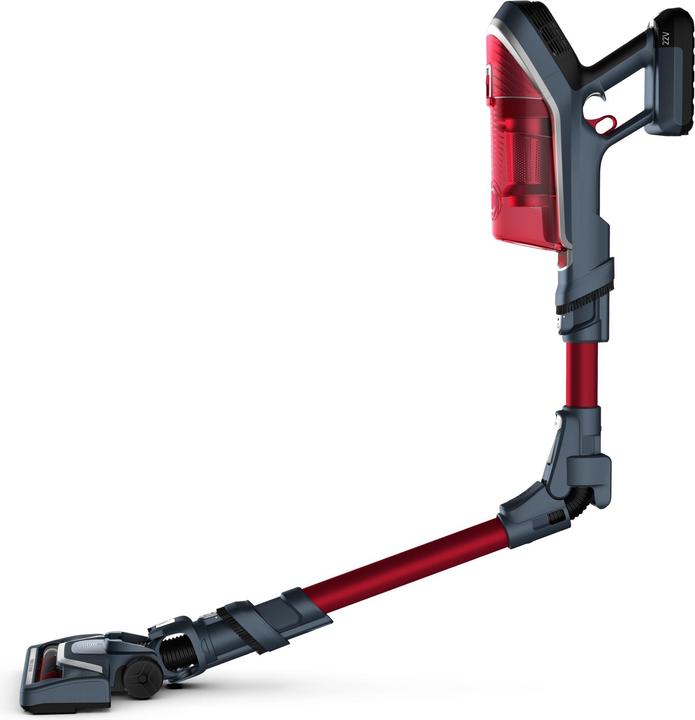Image du produit Rowenta X-Force Flex 8.60