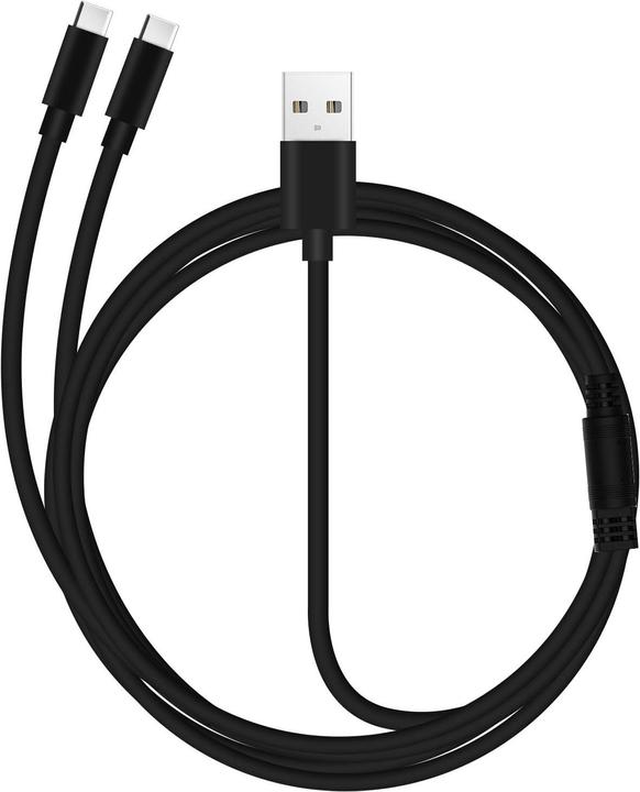 Avizar USB / 2x USB-C cable (0.30 m, USB 2.0)