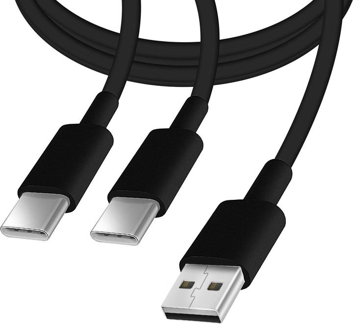 Actual product image Avizar USB / 2x USB-C cable (0.30 m, USB 2.0)