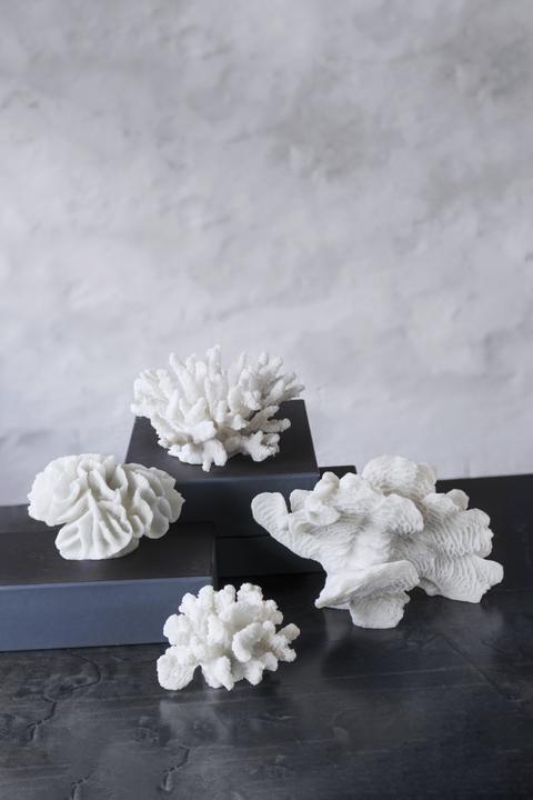 Immagine prodotto Mette Ditmer Coral (12 x 13 x 8 cm)