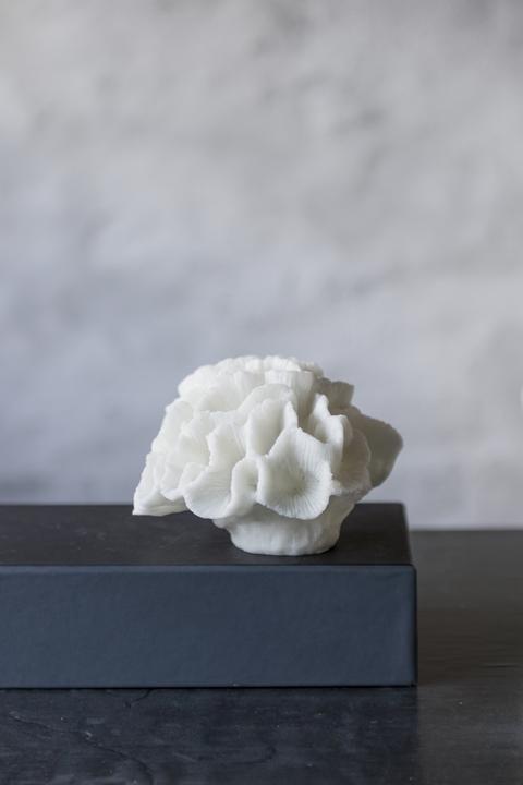 Actual product image Mette Ditmer Coral (15 x 13.5 x 10 cm)