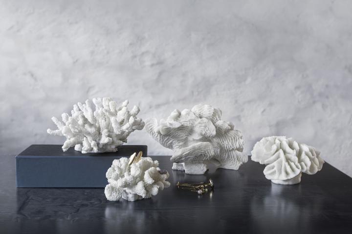 Actual product image Mette Ditmer Coral (15 x 13.5 x 10 cm)