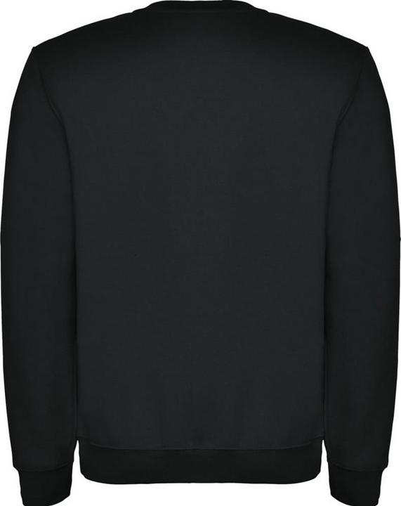 Actual product image Alpinia Unisex Adult Clasica Crew Neck Sweatshirt (M)