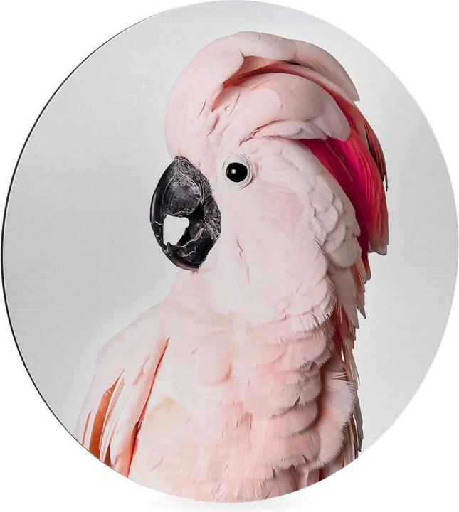 Actual product image Trenddeko Pink cockatoo (Ø 20 cm)