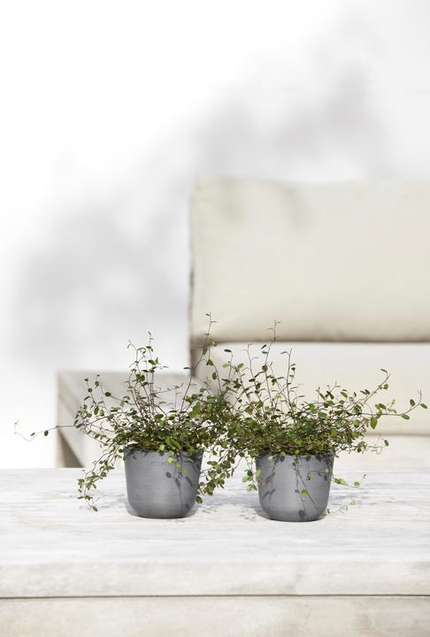 Produktbild Ecopots Oslo Mini (11.50 cm)