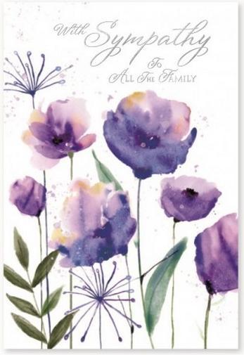 Immagine prodotto Simon Elvin With Sympathy To All My Family Biglietto d'Auguri Misura Confezione 6 (6 pz.)