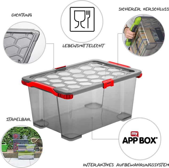 Actual product image Rotho Evo Safe Keeping (59 x 39.5 x 28 cm, 44 l)