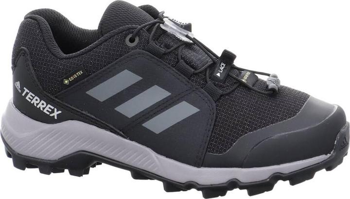 Image du produit adidas Terrex GTX Chaussures (31)
