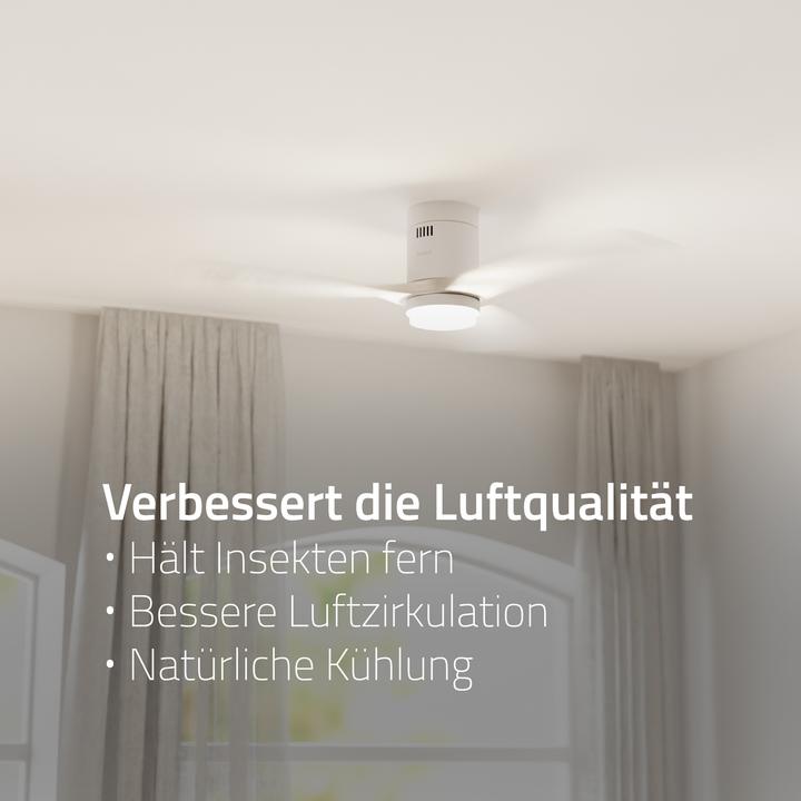 Immagine prodotto Hombli Deckenventilator mit Licht (43 dB)