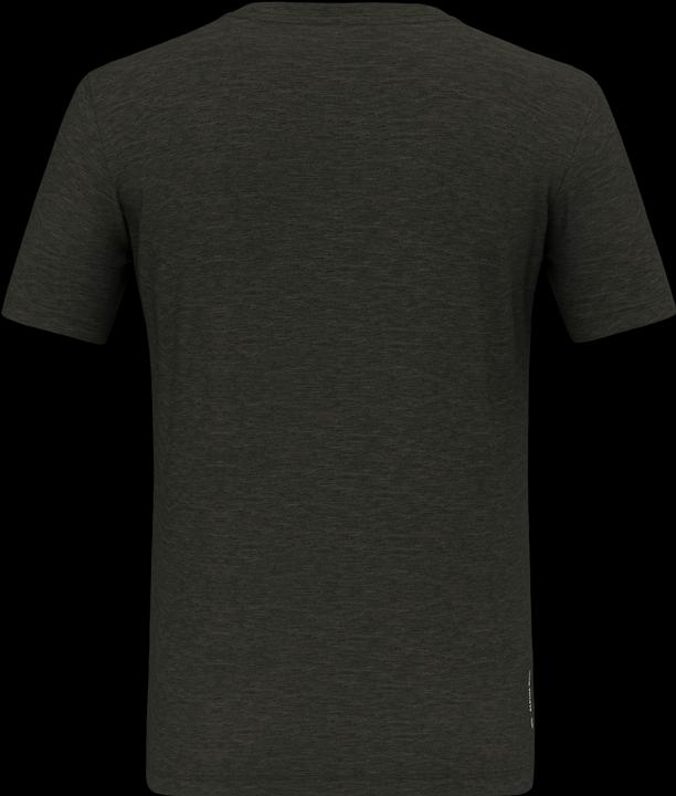 Actual product image Salewa Eagle Minilogo Merino T-Shirt (48)