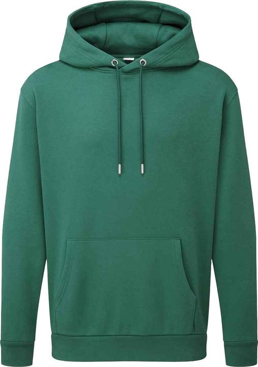Image du produit Anthem - Sweat à capuche - Adulte (L)