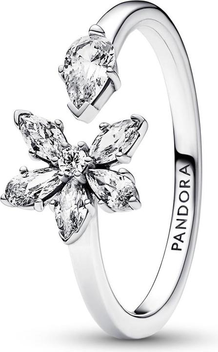 Pandora Funkelndes Herbarium Cluster Offener Ring (58, 925 Silber)