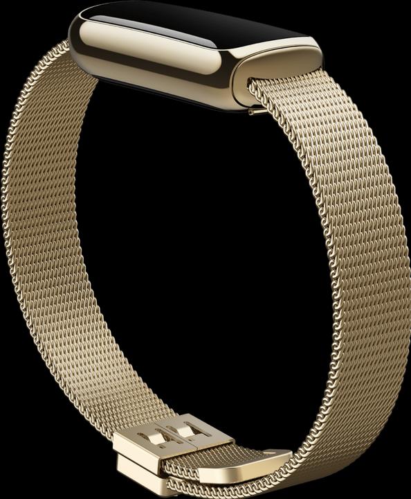 Image du produit Fitbit Bracelet en acier inoxydable de luxe (Acier inoxydable, Taille unique)