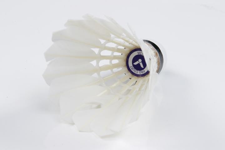 Actual product image Victor Badminton balls Pro Court