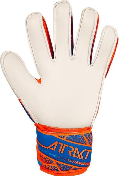Produktbild Reusch Football Attrakt Solid (5)