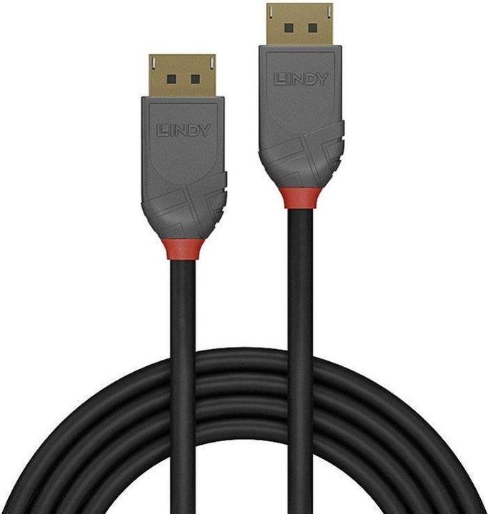 Image du produit Lindy DisplayPort — DisplayPort (0.50 m, DisplayPort)