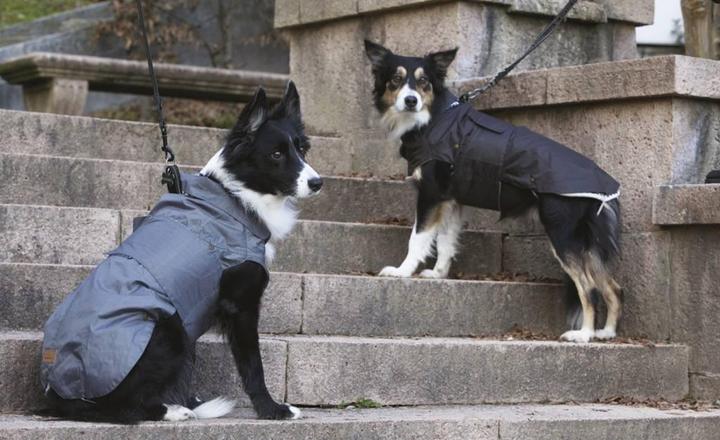 Produktbild Croci Spa Montreal raincoat for dogs black 60cm (60, Hundemantel)
