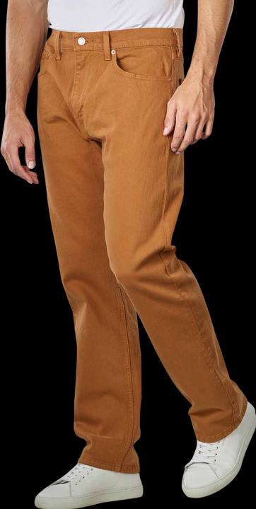 Image du produit Levis 10018264 (W29/L30)