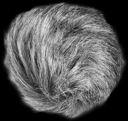 Actual product image Zoom Wsu-1 (Windbreak)