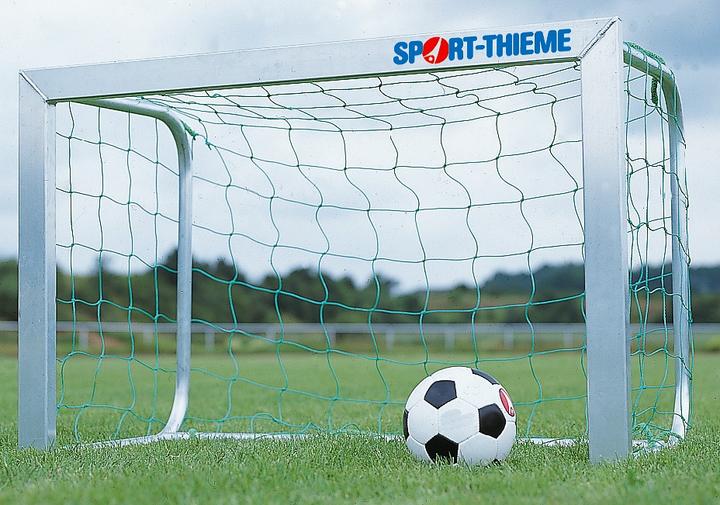 Sport-Thieme Mini-Tornetz, Maschenweite 10 cm