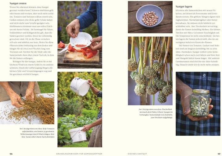 Image du produit No Dig - Gärtnern ohne Umgraben (Allemand, Jutta Langheineken, Charles Dowding, Éditeur DK, 2023)