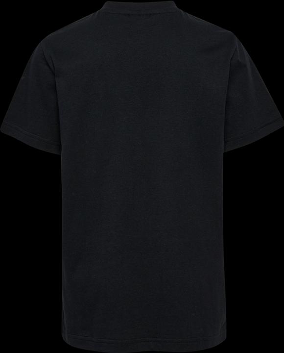 Actual product image hummel hmlTUKAS T-SHIRT S/S 2-PACK (122)