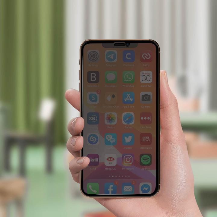 Image du produit Avizar Protection d'écran en verre pour la confidentialité (1 pièce(s), Apple iPhone 11 Pro)