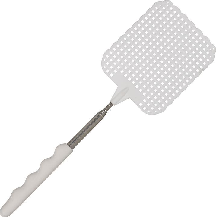 Actual product image Out of the blue Fly swatter