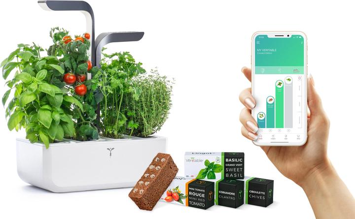 Actual product image Véritable Connect Indoor Garden (18 cm)