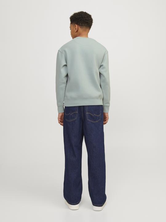 Immagine prodotto Jack & Jones Jorvesterbro Sweat Crew Neck Bn Mni (110)