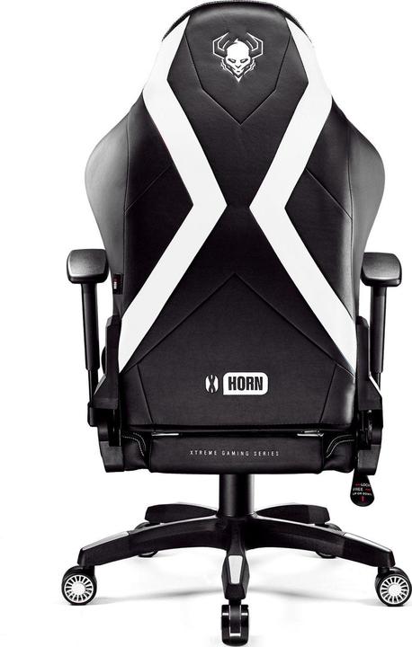 Image du produit Diablo X-Horn 2.0