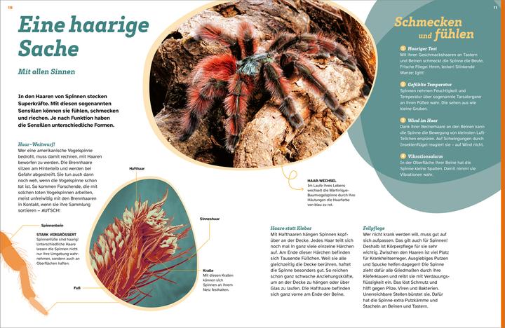 Produktbild Tessloff WAS IST WAS Spinnen. Akrobaten auf acht Beinen (Deutsch, Inga Marie Ramcke, 2024)