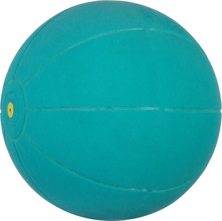Immagine prodotto WV Ball Palla medica (1 kg, 200 mm)