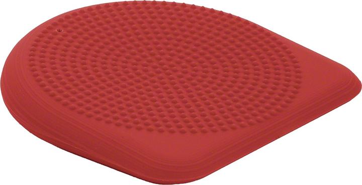 Actual product image Togu Dynair wedge ball pillow