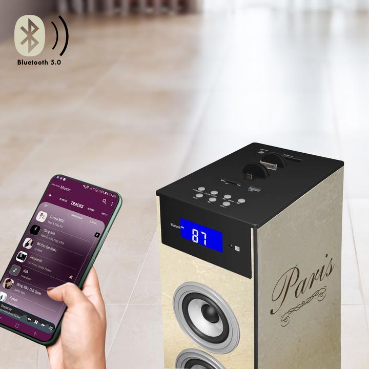 Image du produit Bigben Haut-parleur tour Paris 60W (Fonctionnement sur secteur)