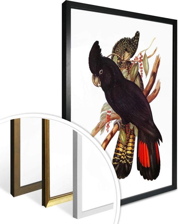 Produktbild Trenddeko Schwarzer Kakadu (50 x 60 cm)
