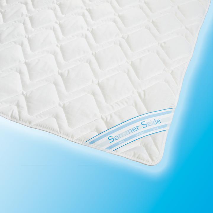 Image du produit Traumschlaf Clean Silk (750 g, 160 x 210 cm)