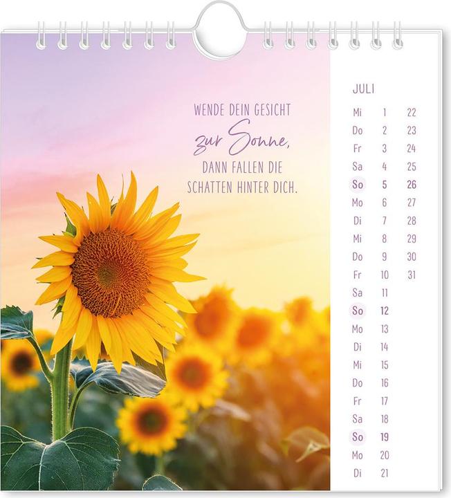 Produktbild Postkartenkalender 2026 Lichtblicke (16 x 17 cm, Deutsch)